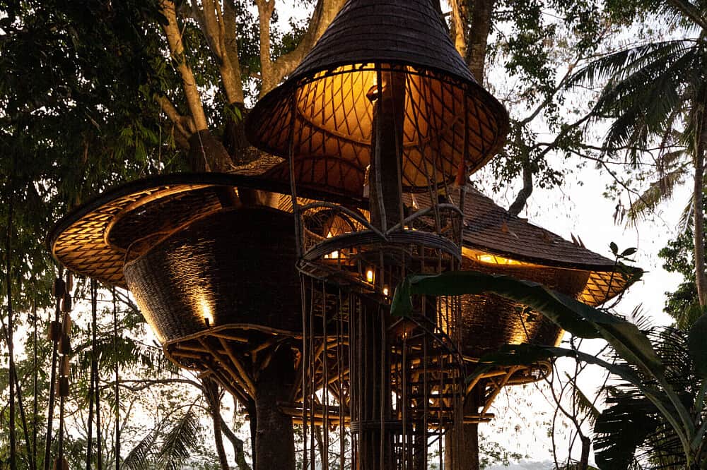 8 Day Doctor-Led Nervous System & Trauma Healing Retreat in Bali 7