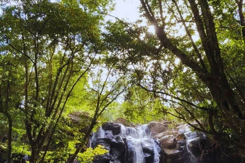 3 Day Relaxation & Local activity in Sesandan, Bali 6