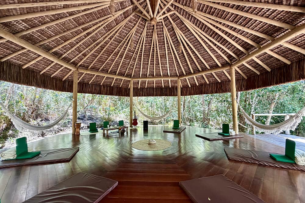 5 Day Restart: A Healing Ayahuasca & Wellness Retreat in Brazil 6