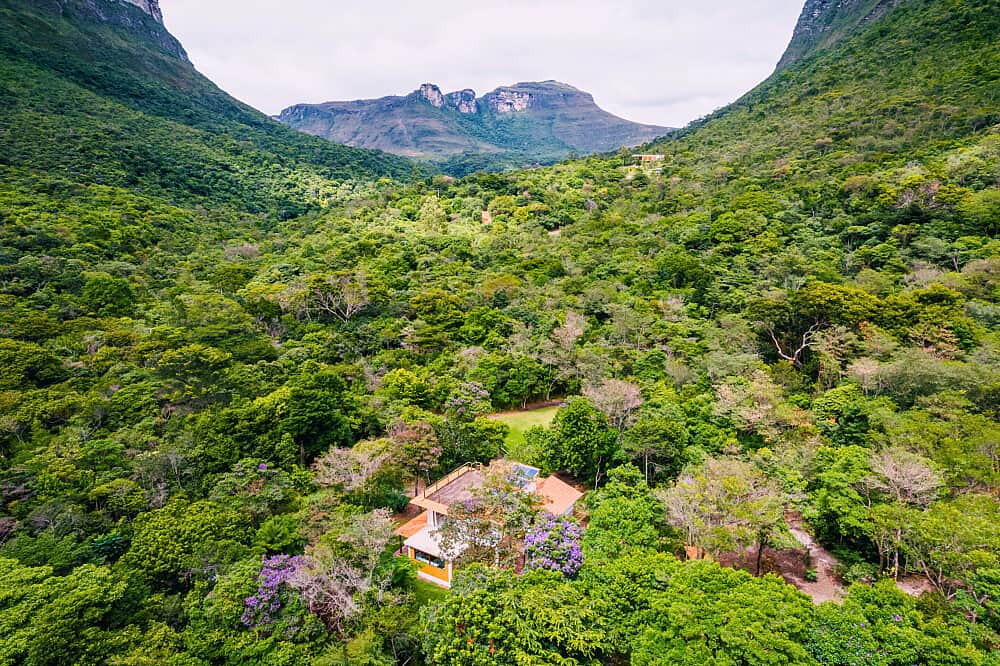 5 Day Restart: A Healing Ayahuasca & Wellness Retreat in Brazil 7