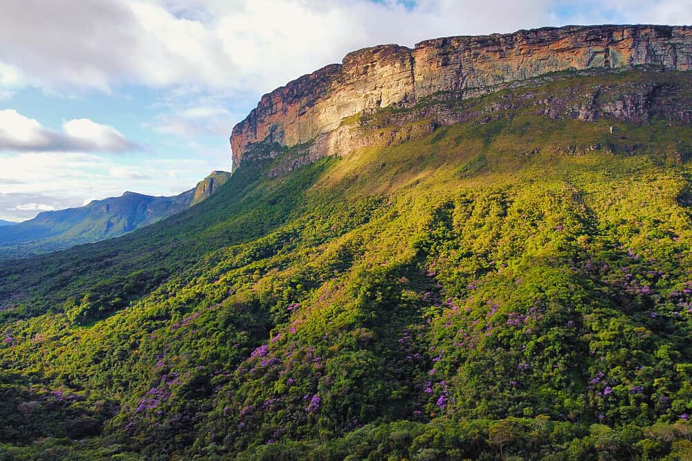 5 Day Restart: A Healing Ayahuasca & Wellness Retreat in Brazil 3