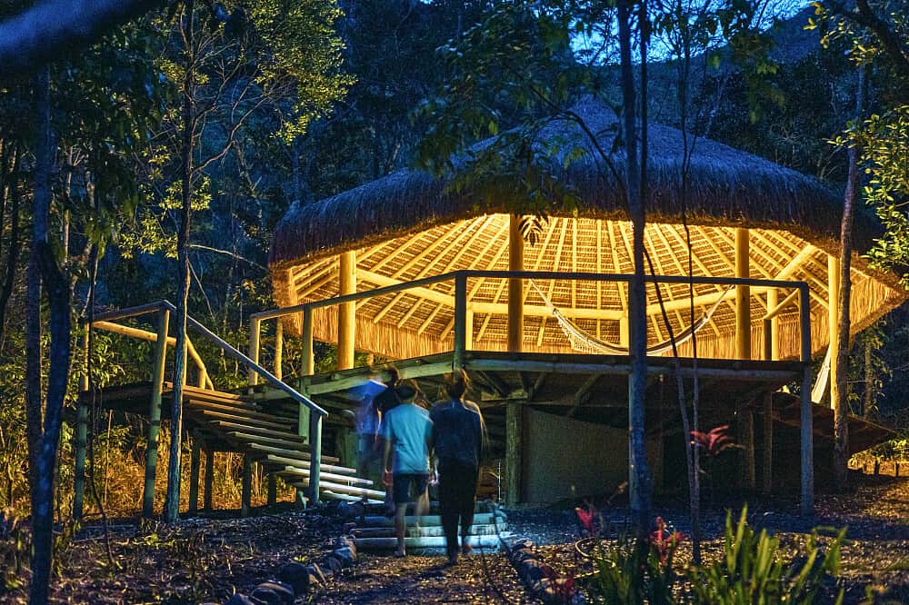 5 Day Restart: A Healing Ayahuasca & Wellness Retreat in Brazil 4