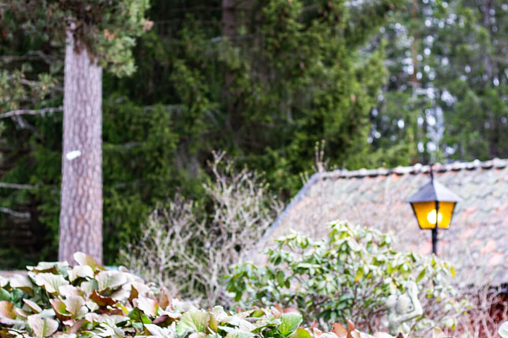 6 Day Darkness Retreat for Deep Rest & Inner Clarity in Sweden 7