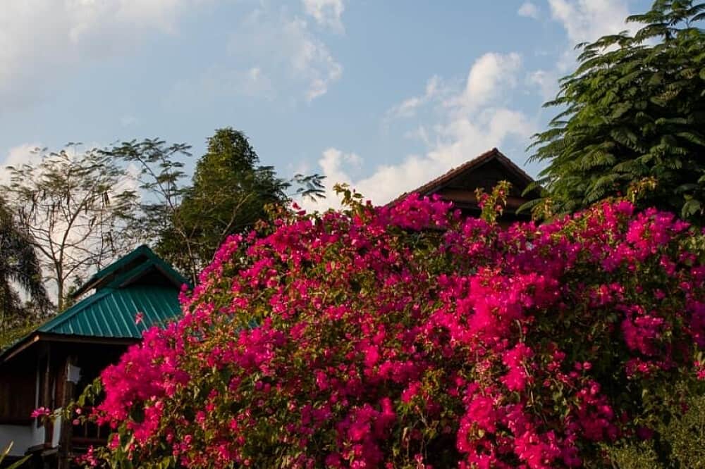 60 Day Addiction Recovery Healing Private Retreat, Pai, Thailand 2