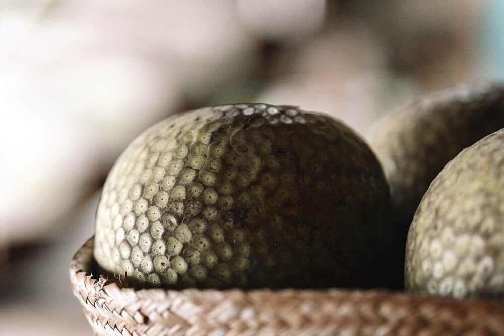 5 Day Atomic Love Alchemy of the Soul Retreat in Panama 6