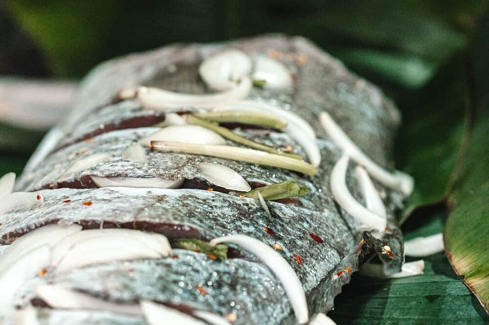 5 Day Atomic Love Alchemy of the Soul Retreat in Panama 5