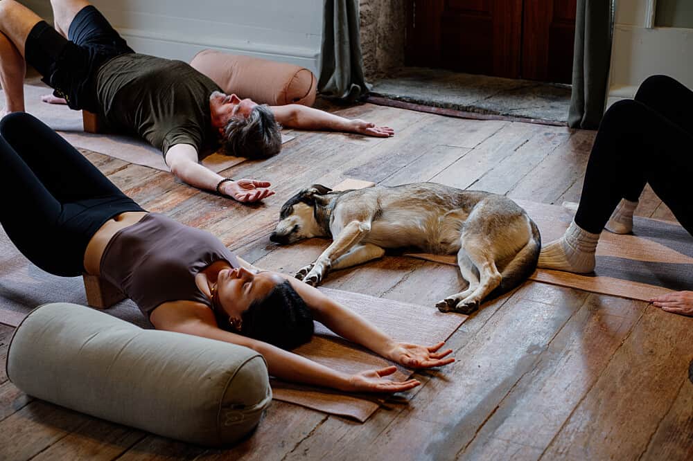 21 Day 200 Hour Hatha & Vinyasa Essential YTT in Portugal 3