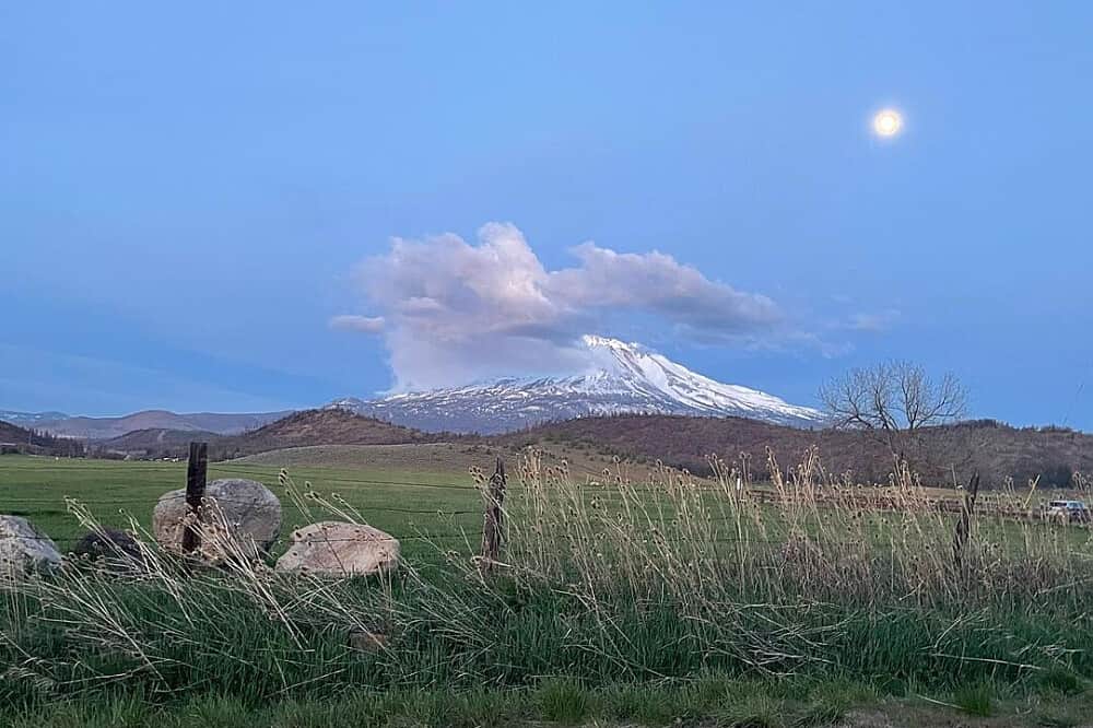 4 Day Solo Digital Detox Retreat in Mount Shasta, California, US 7