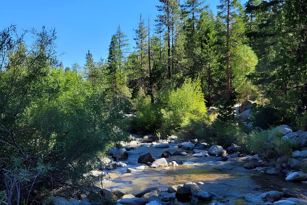 4 Day Solo Digital Detox Retreat in Mount Shasta, California, US 2