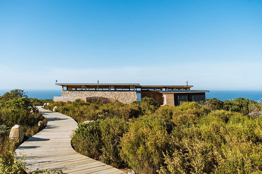 10 Day 50 Hour Aerial Yoga Teacher Training in South Africa 6