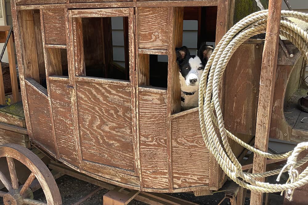 3 Day She Who Flows: 'Magic" Medicine Retreat for Women, OR, USA 6