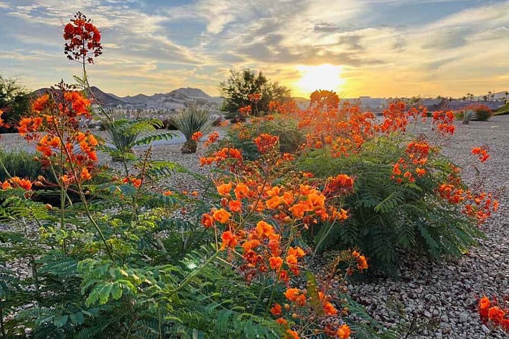 30 Day Military Fitness Retreat in Las Vegas, US 2