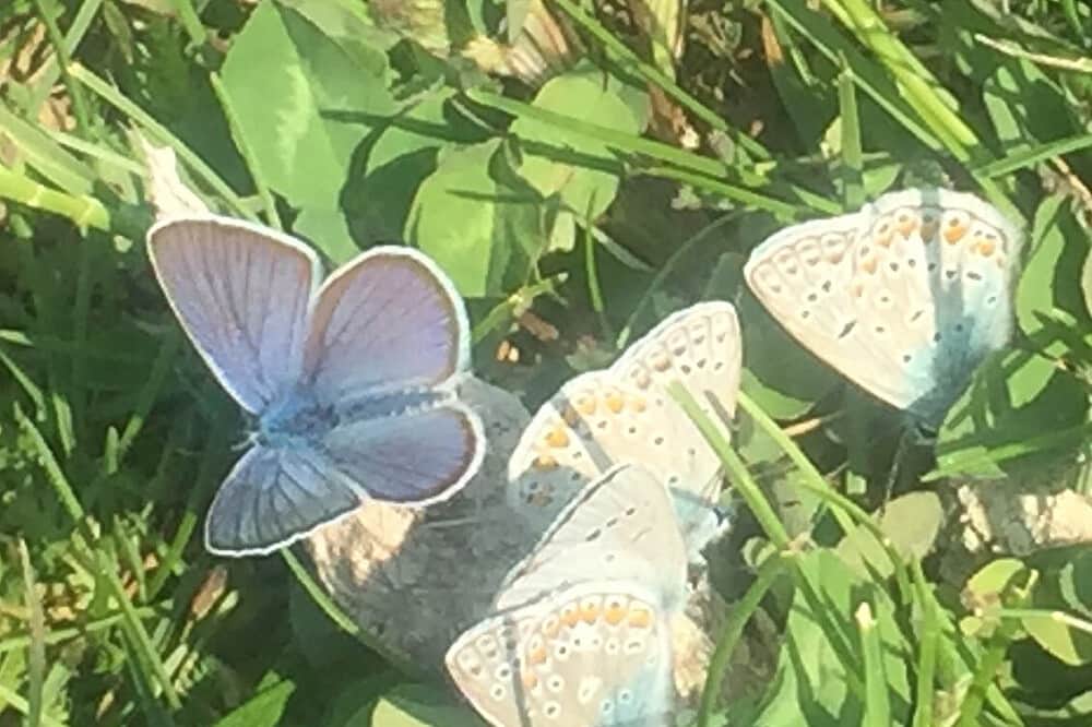 3 Day Yoga, Meditation & Spiritual Energy in Monastery, Germany 2