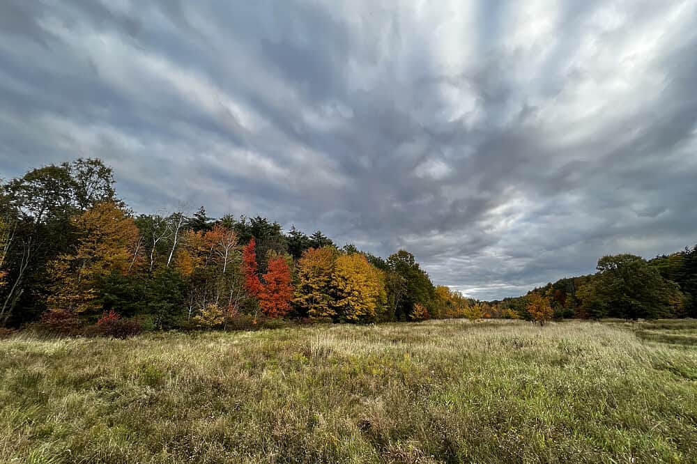 3 Day Silent Meditation Retreat in Catskills, NY, USA 6