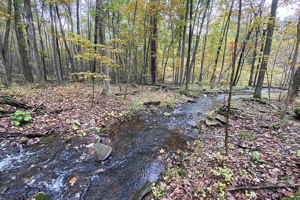 3 Day Silent Meditation Retreat in Catskills, NY, USA 8