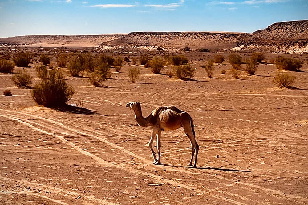 9 Day Yin Yoga, Sahara Aventures&Spa Women's Retreat, Algeria 6