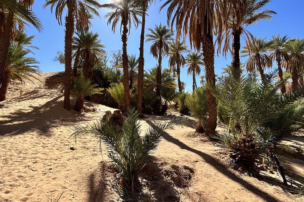 9 Day Yin Yoga, Sahara Aventures&Spa Women's Retreat, Algeria 8