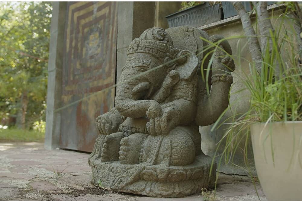 5 Day Ayahuasca Retreat, 1:1 Guidance, Amayama, Spain 1