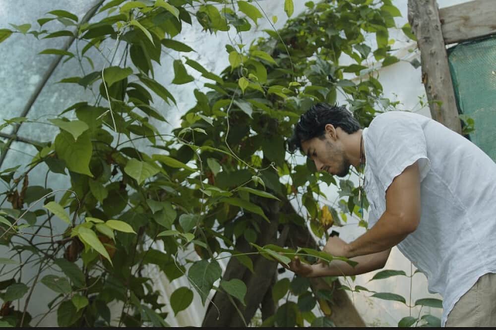 5 Day Ayahuasca Retreat, 1:1 Guidance, Amayama, Spain 5