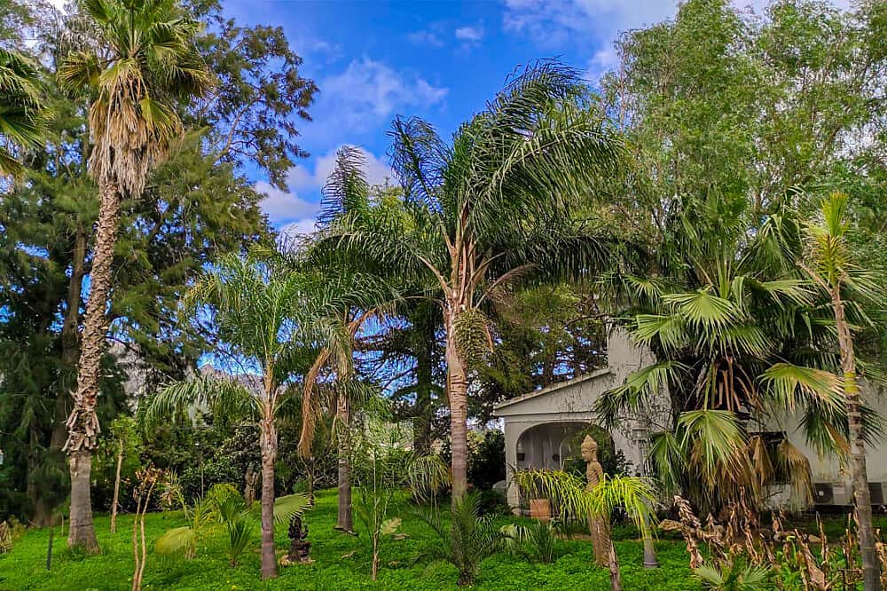 5 Day Ayahuasca Retreat, 1:1 Guidance, Amayama, Spain 7