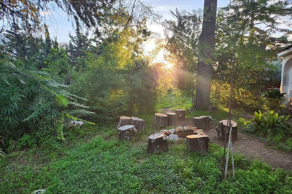 5 Day Ayahuasca Retreat, 1:1 Guidance, Amayama, Spain 8