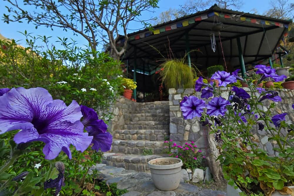 6 Day Himalayan Five Elements Wellness Retreat, India 5