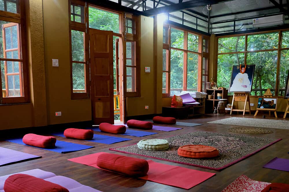 6 Day Himalayan Five Elements Wellness Retreat, India 7
