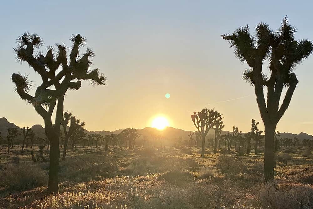 4 Day Desert Hot Springs California Yoga Retreat, CA, USA 4