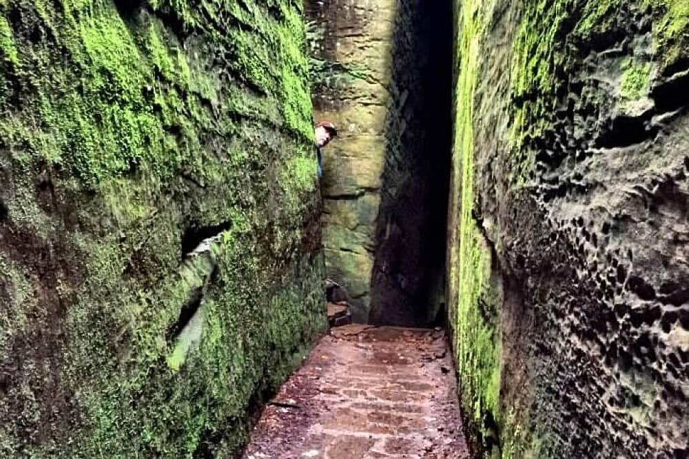 3 Day Conscious Women's Retreat, Shawnee Forest in IL, USA 5