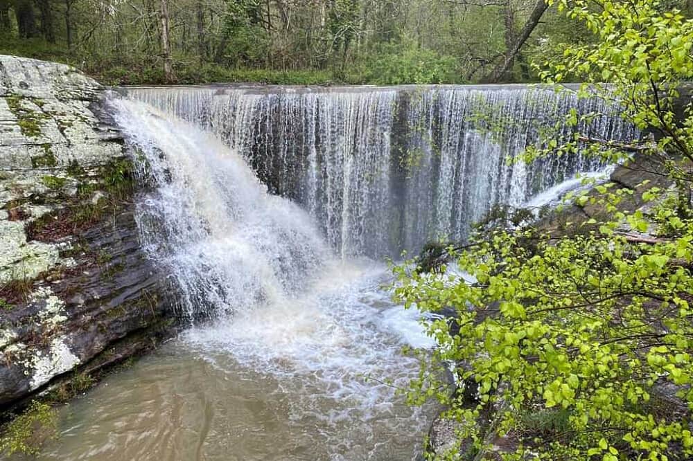 3 Day Conscious Women's Retreat, Shawnee Forest in IL, USA 7