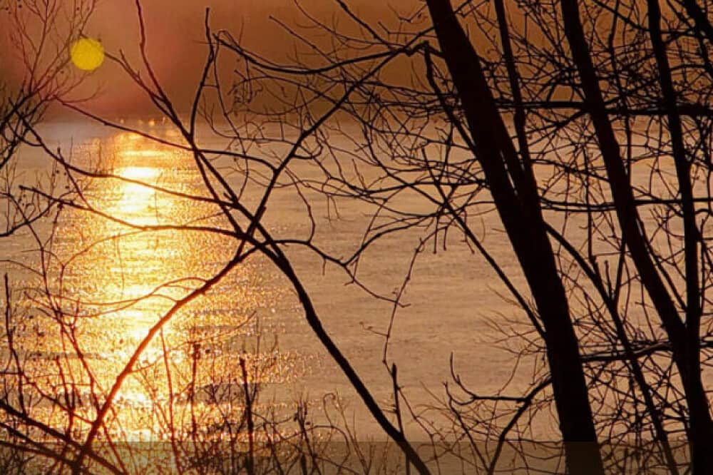 3 Day Conscious Women's Retreat, Shawnee Forest in IL, USA 8