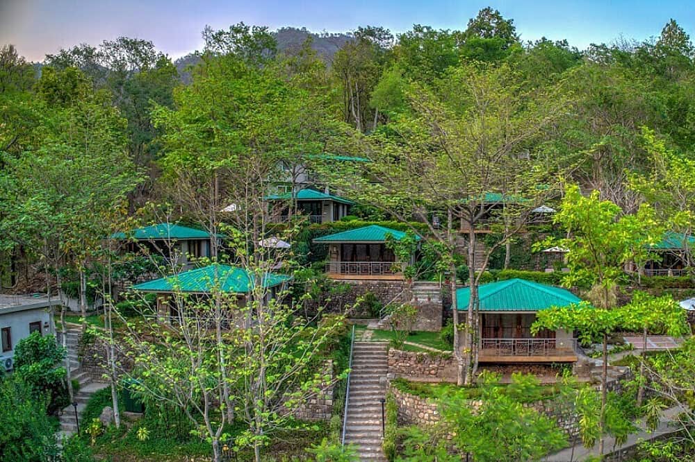 4 Day Where Nature Meets Wellness - Immersive Retreat in India 5