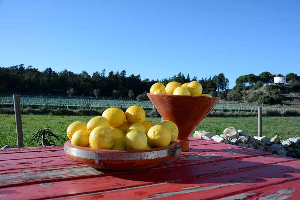 6 Day Walk the Spiritual Path to Fatima in Portugal 2