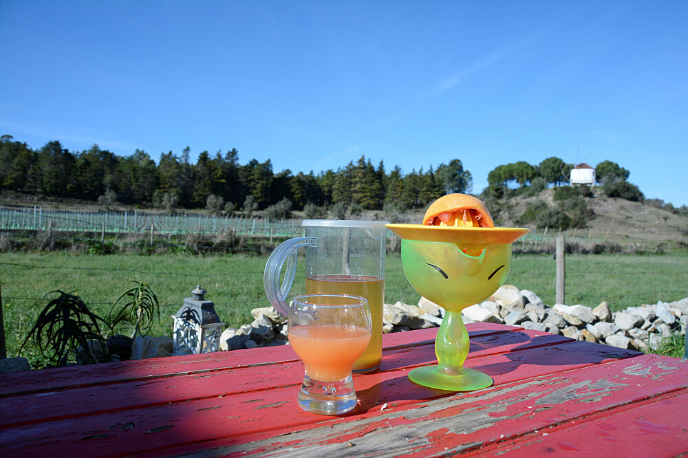 6 Day Walk the Spiritual Path to Fatima in Portugal 5