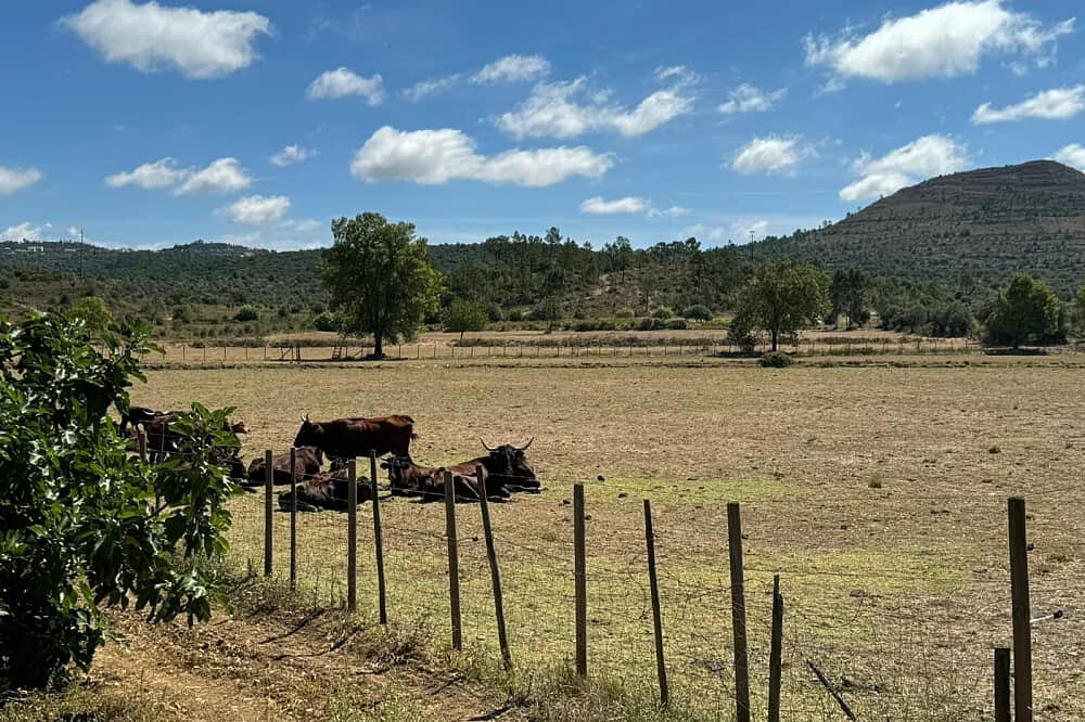 6 Day Walk the Spiritual Path to Fatima in Portugal 6