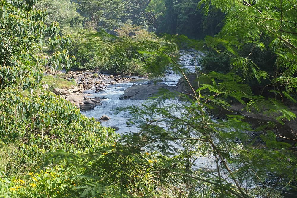 8 Day Panchakarma Detox, Meditation and Yoga Retreat in Sri Lanka 4