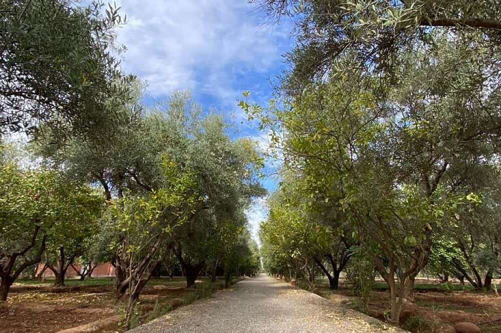 14 Day Martial Arts and Meditation Retreat in Marrakech, Morocco 8