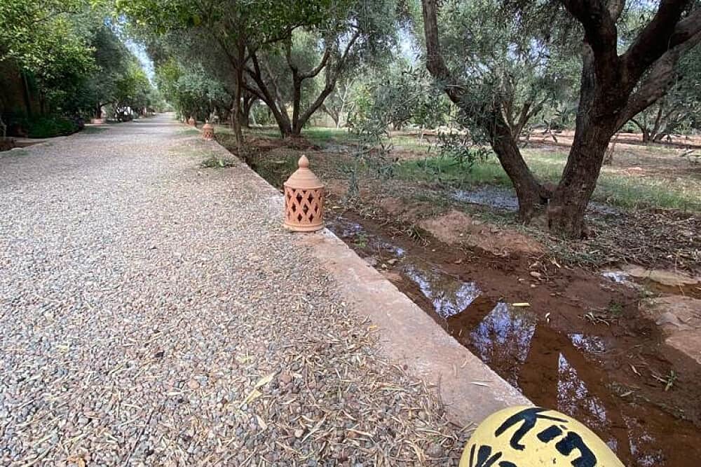 30 Day Martial Arts and Meditation Retreat in Marrakech, Morocco 2