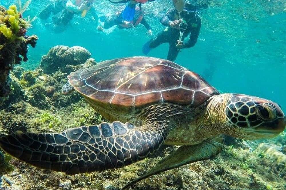 5 Day Scuba Diving Retreat in Caribbean Paradise, Mexico 6