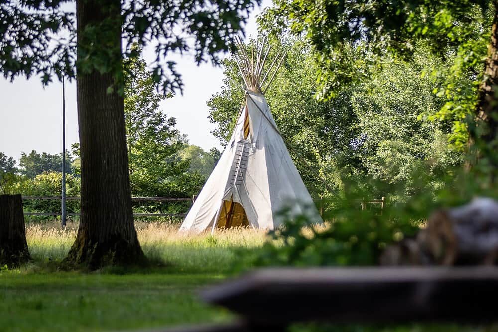 5 Day Therapeutic Psilocybin Medicine Retreat in the Netherlands 3