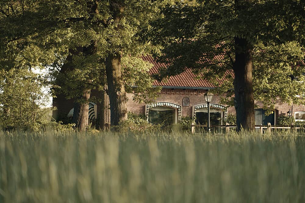 5 Day Therapeutic Psilocybin Medicine Retreat in the Netherlands 6