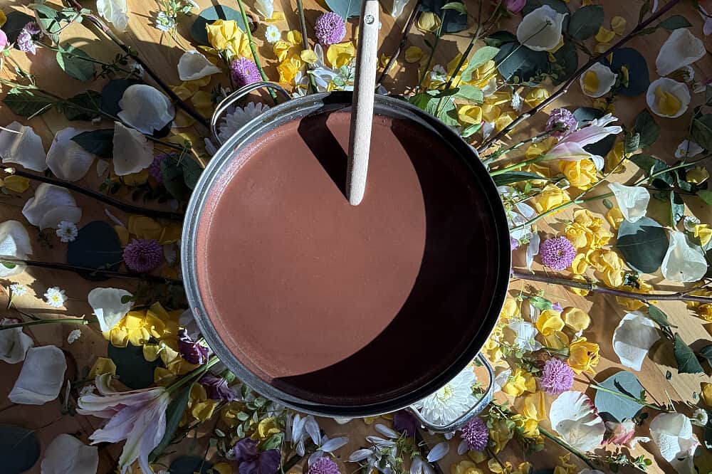 3 Day Ancestral Medicine Retreat for Women in Arizona 4