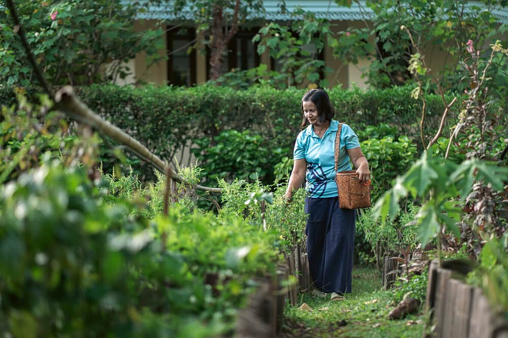 7 Day Thai Herbal Living In Krabi, Thailand 8