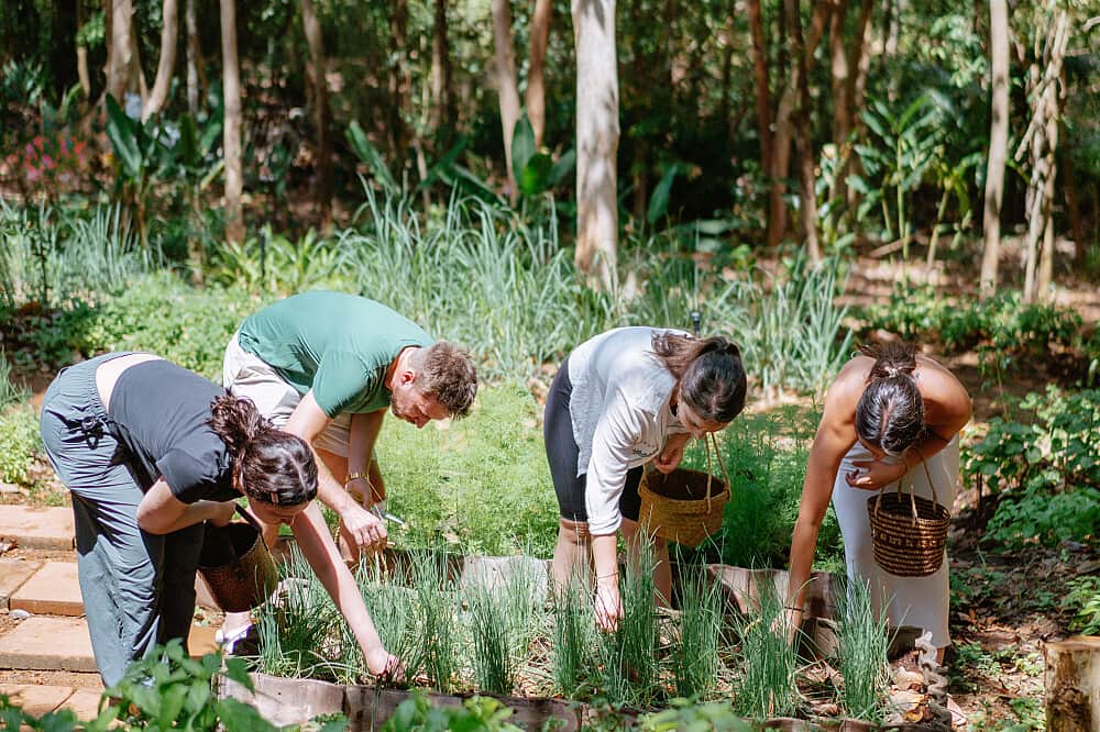 7 Day Thai Herbal Living In Krabi, Thailand 2