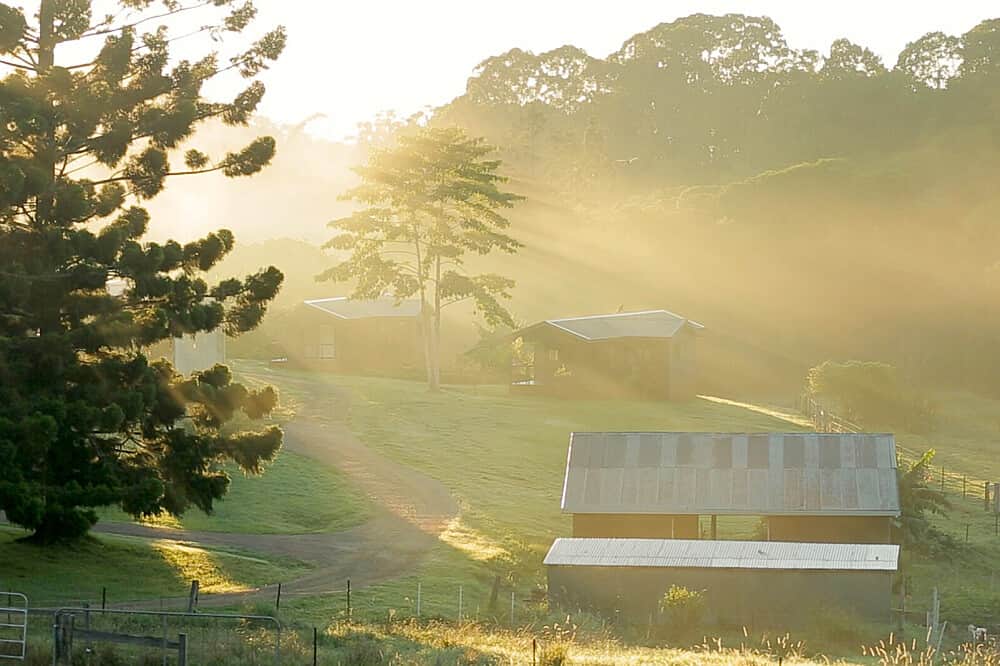 5 Day Silent Meditation&Yoga Retreat,Byron Bay Region,Australia 3