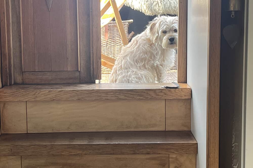 3 Day Women's Retreat Aboard Moon River, UK 4