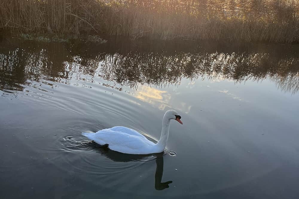 3 Day Women's Retreat Aboard Moon River, UK 5