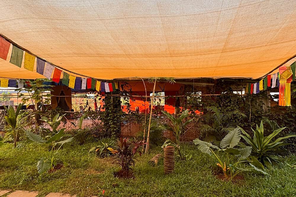 7 Day Healing Yoga Retreat with Flexible Dates in Goa, India 5