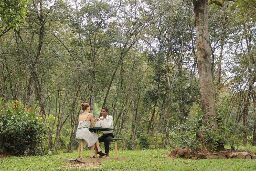 5 Day Detox & Recharge Retreat in Nature, Sri Lanka 5