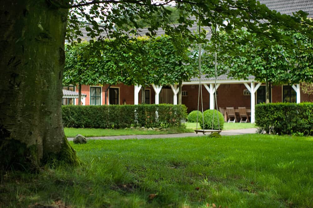 3 Day Psilocybin Retreat at New Eden, The Netherlands 7